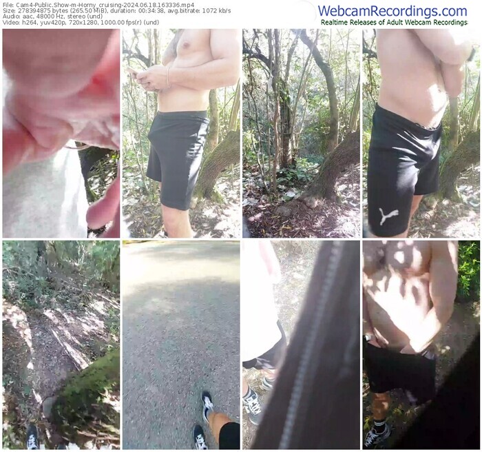 cam4-horny_cruising-06-18-2024-16-33-36