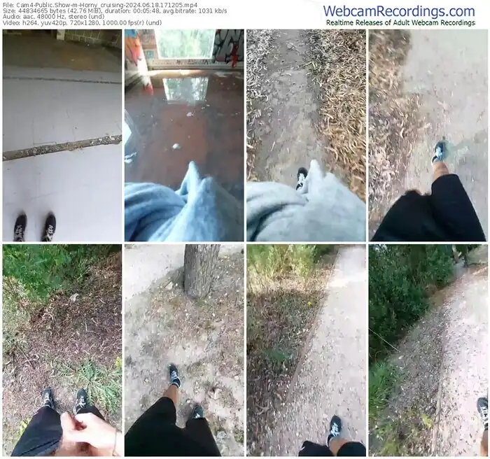 cam4-horny_cruising-06-18-2024-17-12-05