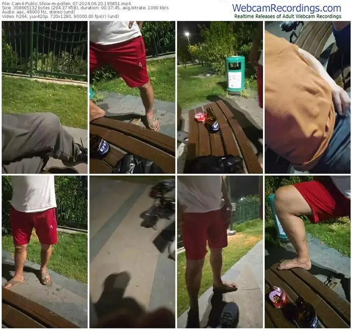 cam4-pollen_07-06-20-2024-19-58-51