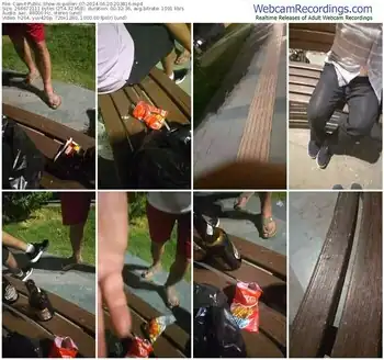 cam4-pollen_07-06-20-2024-20-38-16