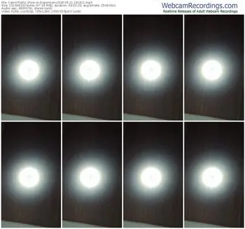 cam4-doperman-06-21-2024-18-14-11