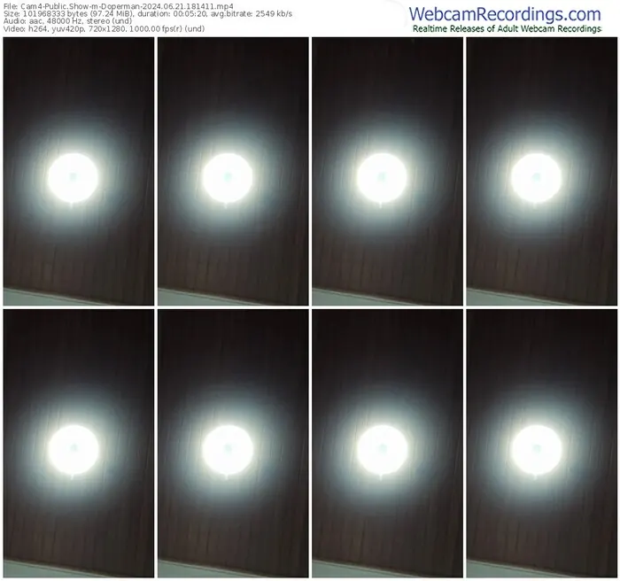 cam4-doperman-06-21-2024-18-14-11