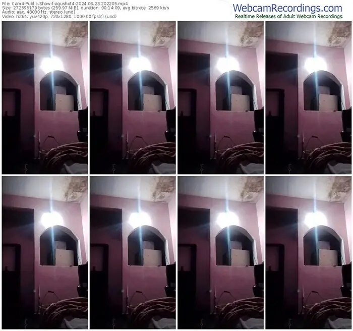 cam4-agushot4-06-23-2024-20-22-05