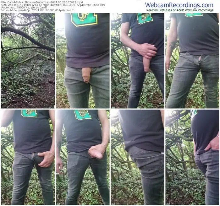 cam4-doperman-06-23-2024-17-00-28