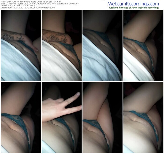 cam4-barbiputita-06-24-2024-21-04-07