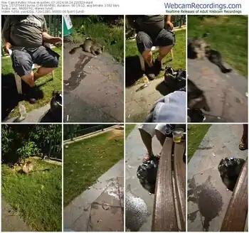 cam4-pollen_07-06-24-2024-22-03-29