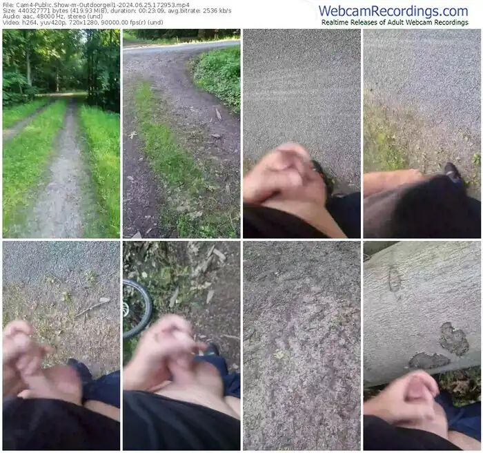 cam4-outdoorgeil1-06-25-2024-17-29-53