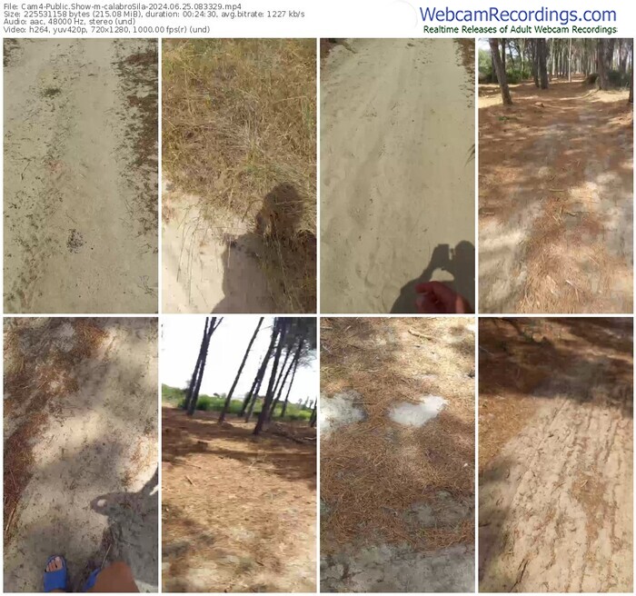 cam4-calabrosila-06-25-2024-08-33-29