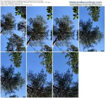 cam4-stefanoeverlan1-06-25-2024-11-47-12