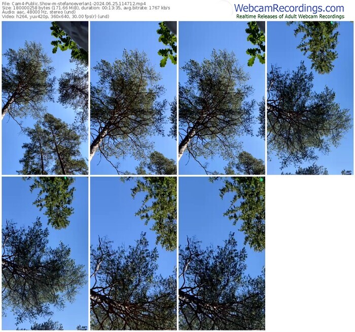 cam4-stefanoeverlan1-06-25-2024-11-47-12