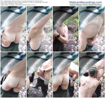 cam4-horny_cruising-06-27-2024-16-52-34