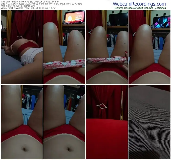 cam4-sol219-06-28-2024-00-17-48