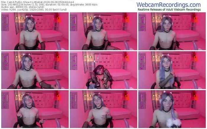 cam4-littlekat-06-28-2024-05-04-44