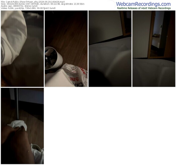 cam4-moon_ahu-06-29-2024-16-04-26