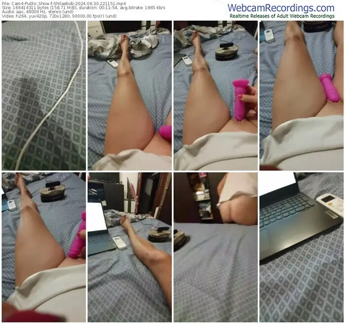 cam4-shilaebob-06-30-2024-22-11-51