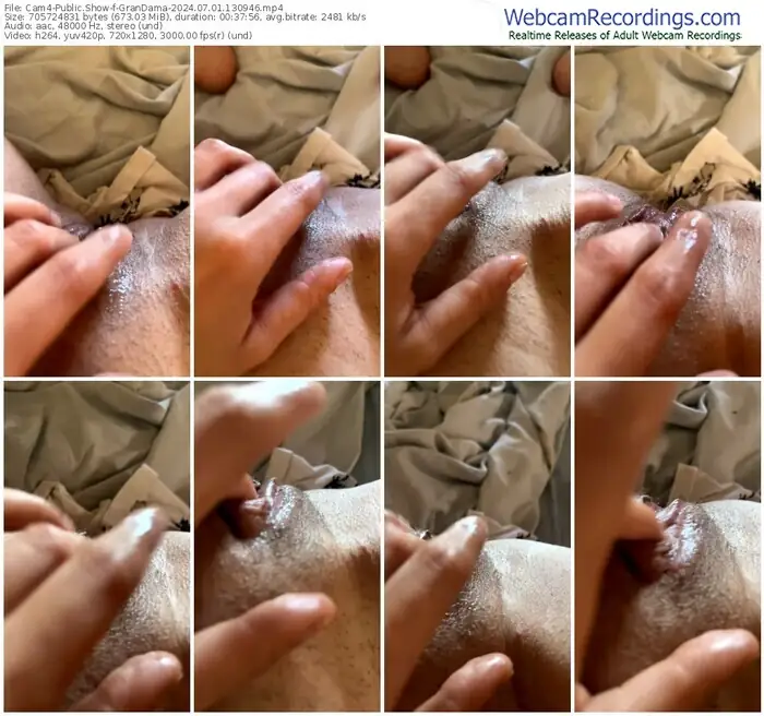 cam4-grandama-07-01-2024-13-09-46