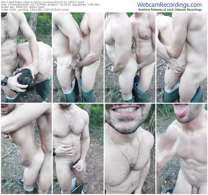 cam4-horny_cruising-07-01-2024-18-53-17