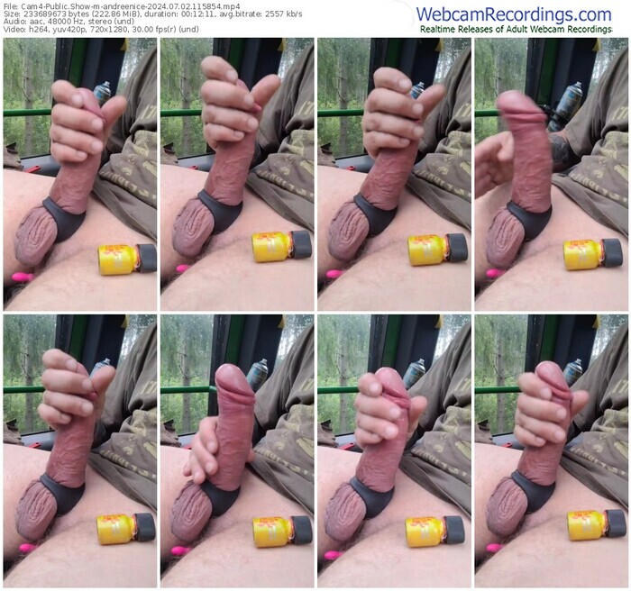 cam4-andreenice-07-02-2024-11-58-54