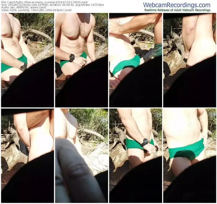 cam4-horny_cruising-07-03-2024-17-09-31