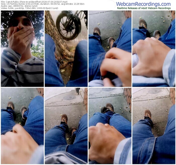 cam4-wildwolfhot-07-04-2024-20-31-07