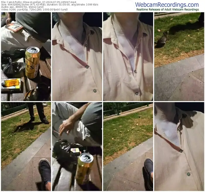 cam4-pollen_07-07-05-2024-18-50-47