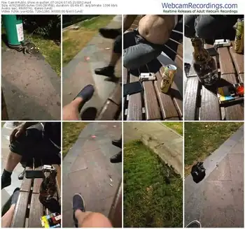 cam4-pollen_07-07-05-2024-21-00-52