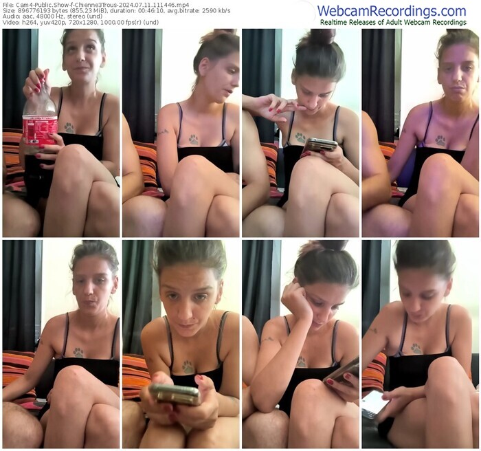 cam4-chienne3trous-07-11-2024-11-14-46