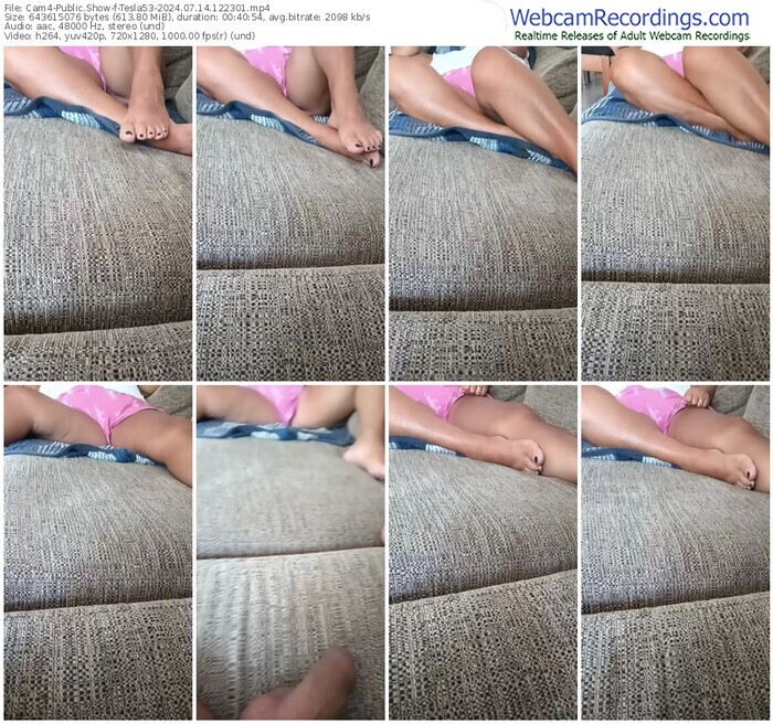 cam4-tesla53-07-14-2024-12-23-01