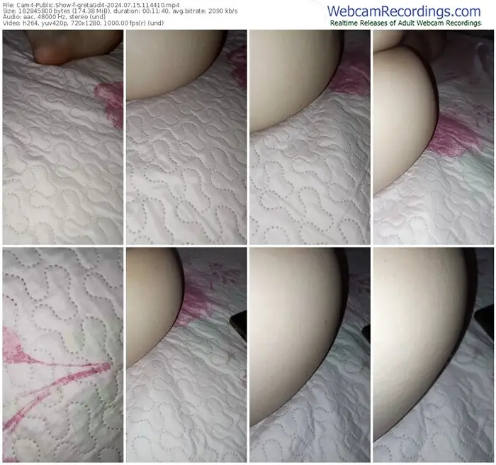 cam4-gretagd4-07-15-2024-11-44-10