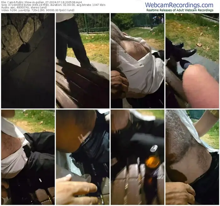 cam4-pollen_07-07-18-2024-20-05-38