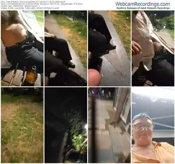 cam4-pollen_07-07-18-2024-21-18-56