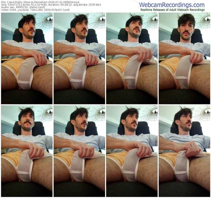 cam4-penisavoir-07-21-2024-08-58-29