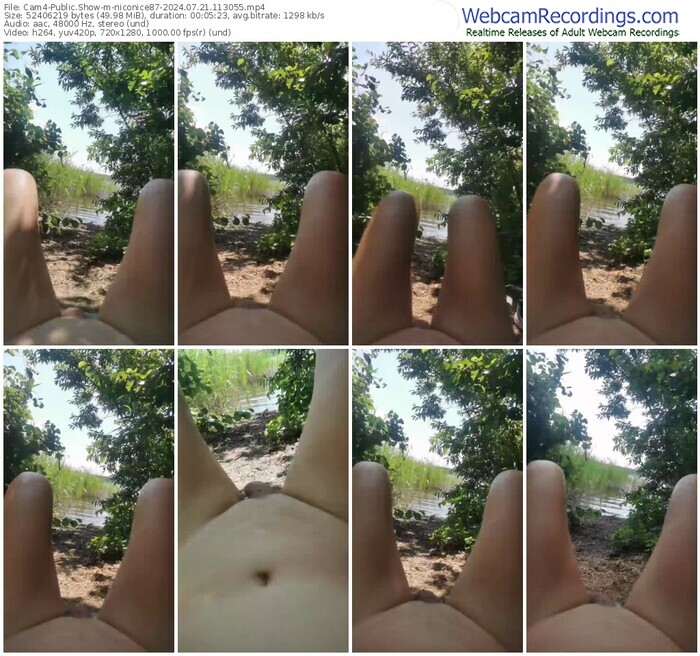 cam4-niconice87-07-21-2024-11-30-55