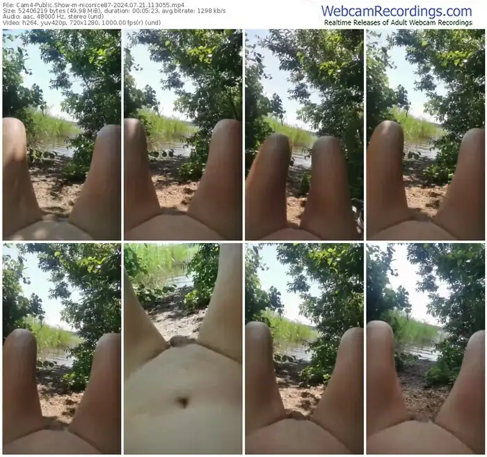 cam4-niconice87-07-21-2024-11-30-55