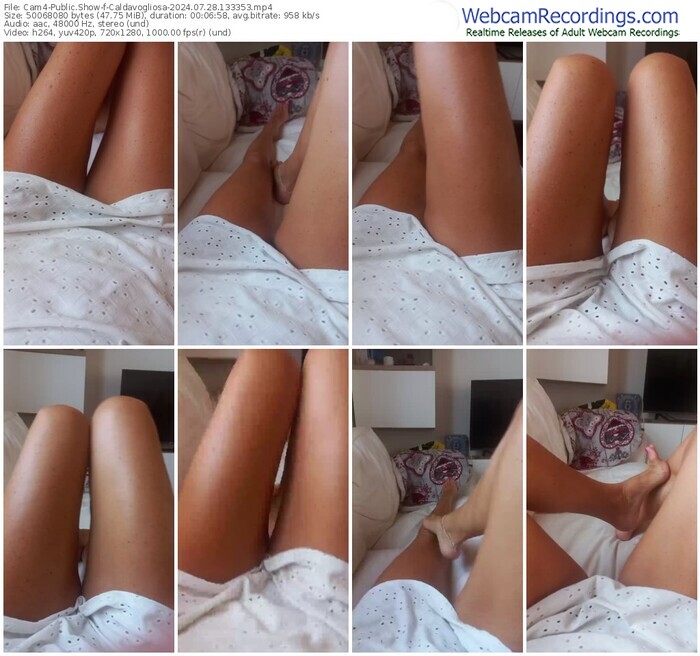 cam4-caldavogliosa-07-28-2024-13-33-53