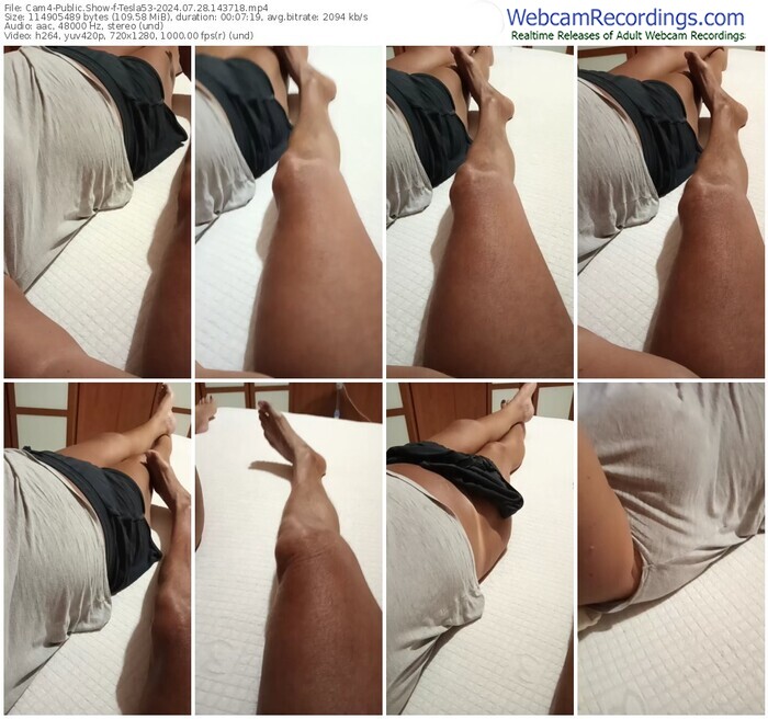 cam4-tesla53-07-28-2024-14-37-18