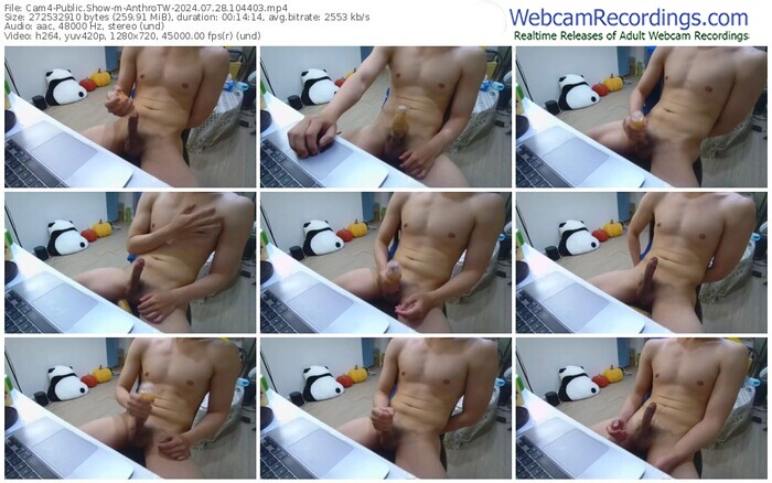 cam4-anthrotw-07-28-2024-10-44-03