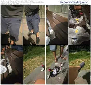 cam4-pollen_07-07-28-2024-19-07-32