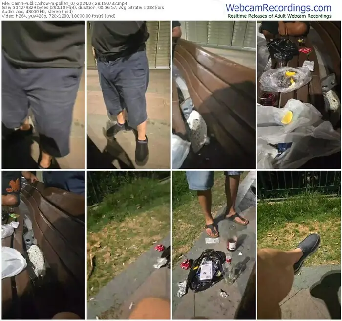 cam4-pollen_07-07-28-2024-19-07-32