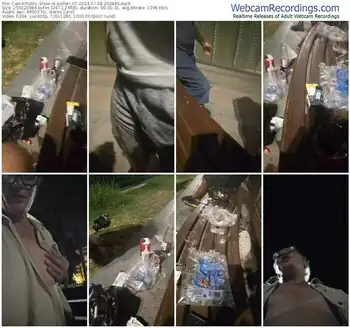 cam4-pollen_07-07-28-2024-20-28-40