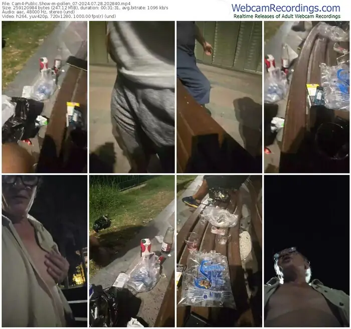 cam4-pollen_07-07-28-2024-20-28-40