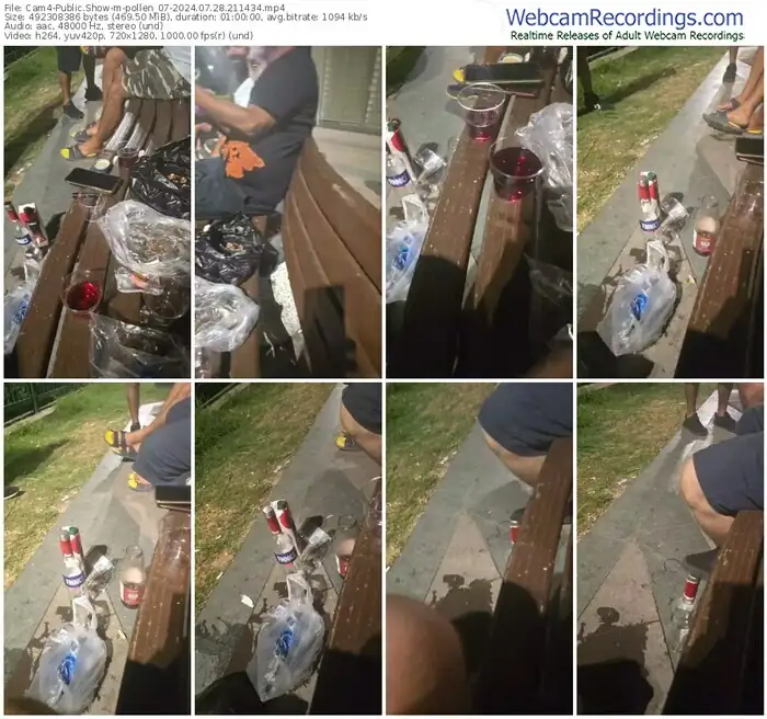 cam4-pollen_07-07-28-2024-21-14-34