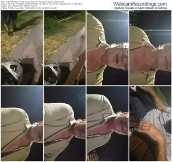 cam4-pollen_07-07-28-2024-22-15-59