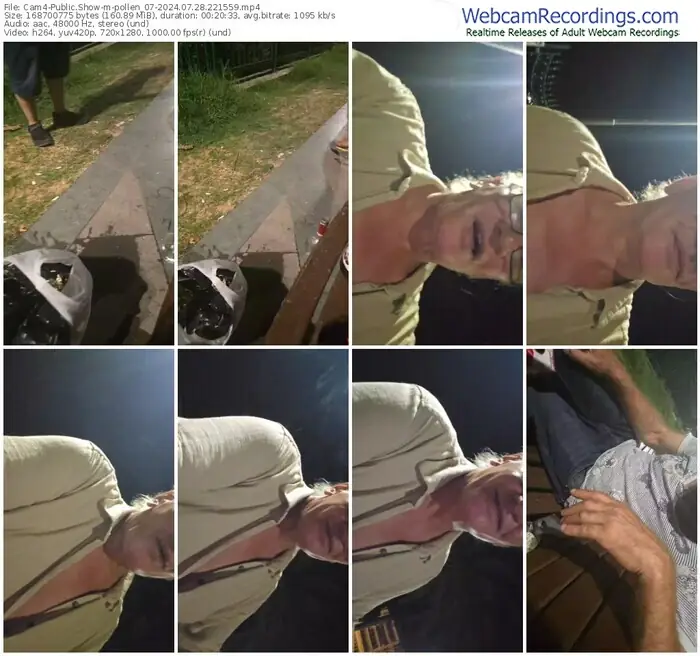 cam4-pollen_07-07-28-2024-22-15-59