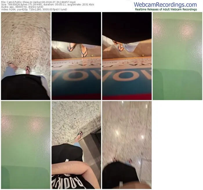 cam4-vanluiz28-07-30-2024-18-44-57