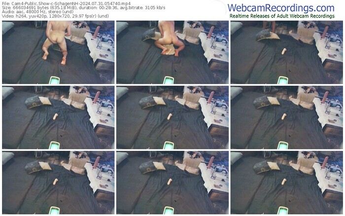cam4-schagennh-07-31-2024-05-47-40