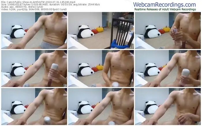 cam4-anthrotw-07-31-2024-14-52-40