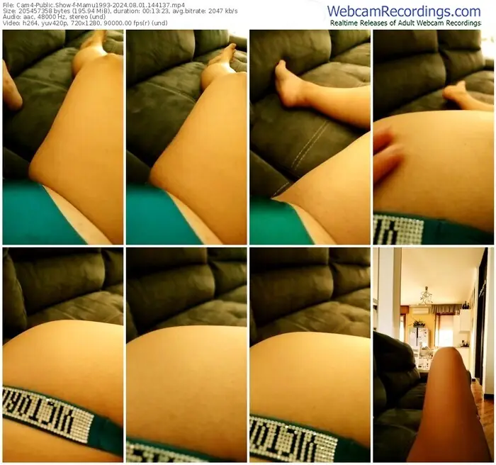 cam4-mamu1993-08-01-2024-14-41-37