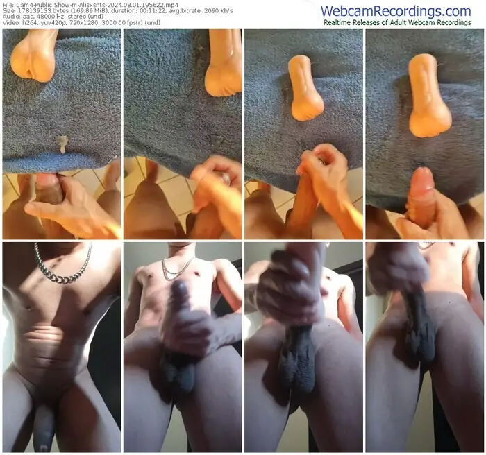 cam4-alisxsnts-08-01-2024-19-56-22