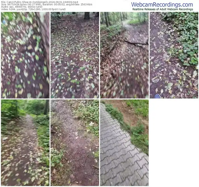 cam4-outdoorgeil1-08-01-2024-16-40-09